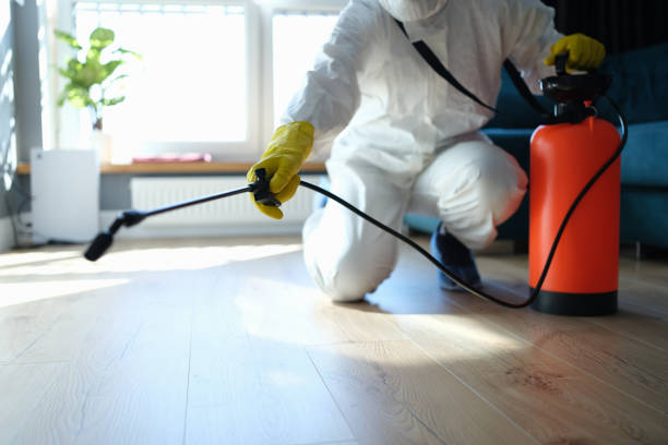 Reliable Odor Removal contractor in Milford, IN by Trauma Clean Pros